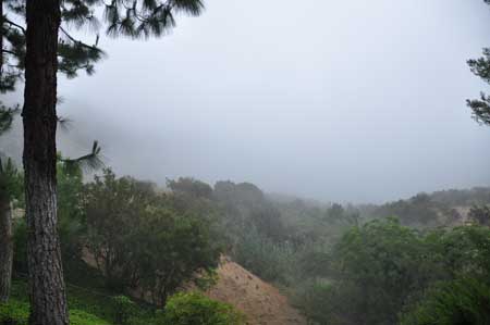 A perfect summer morning, adrift in a sea of fog.